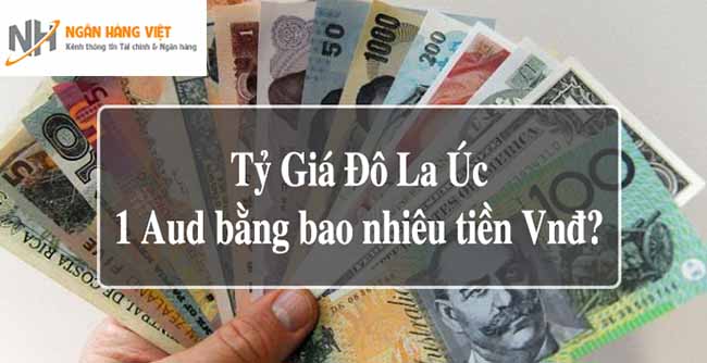 ty-gia-do-uc-sang-tien-viet